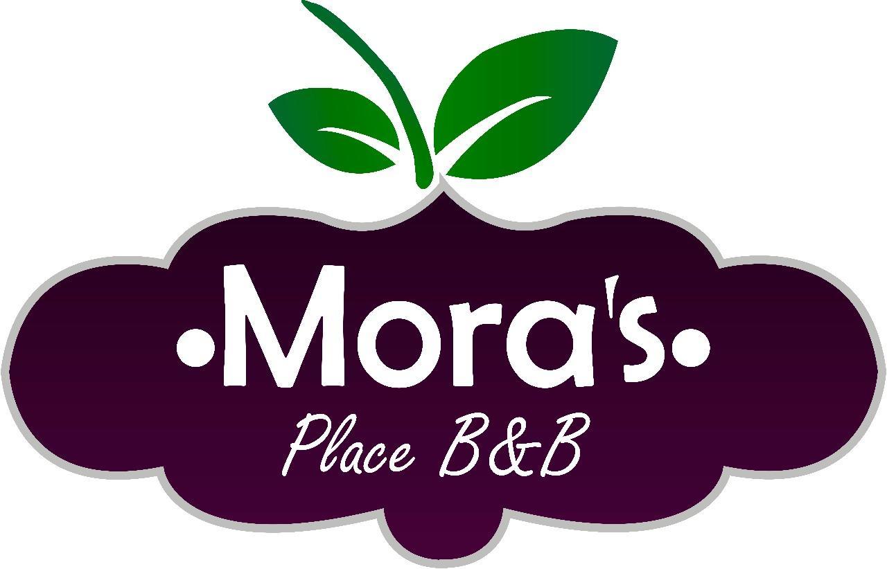 Mora'S Place B&B Monteverde Buitenkant foto